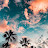 @lorissantarsiero5849's avatar