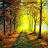 @mohammedadms3424