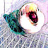 ogaBvXQ63hY-channel-avatar-Dan Hominem