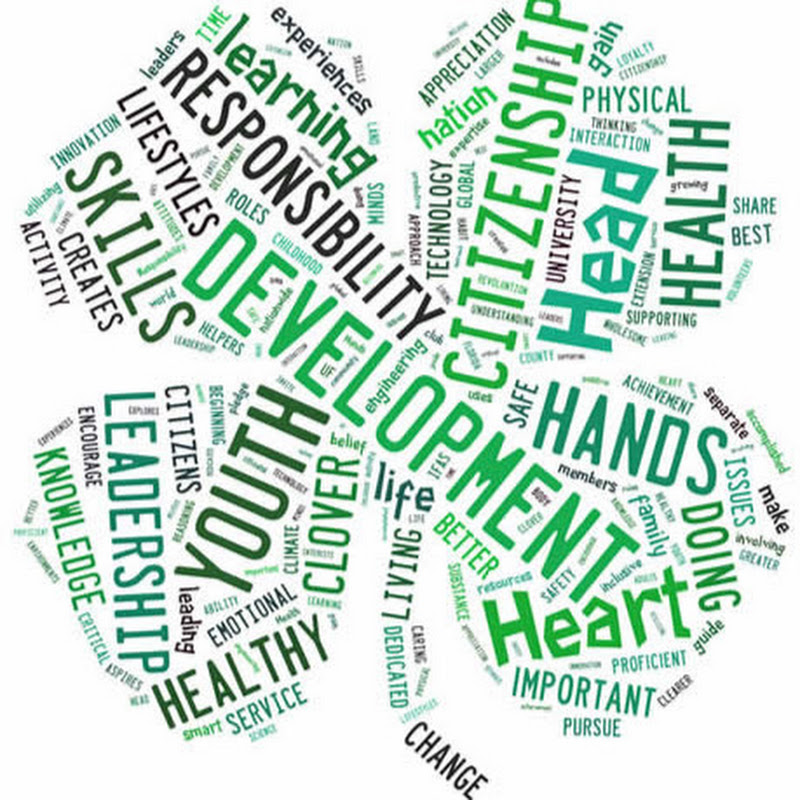 Chenango County 4-H