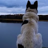 Автор