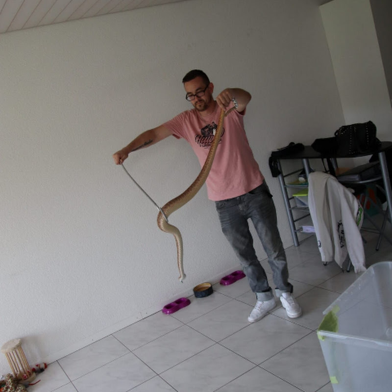 Marc Mayer