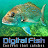 DIGITAL FISH - Content that catches