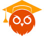 The Logical Owl logo
