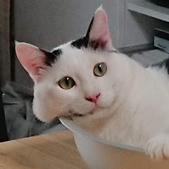 うさぼーアイコン画像