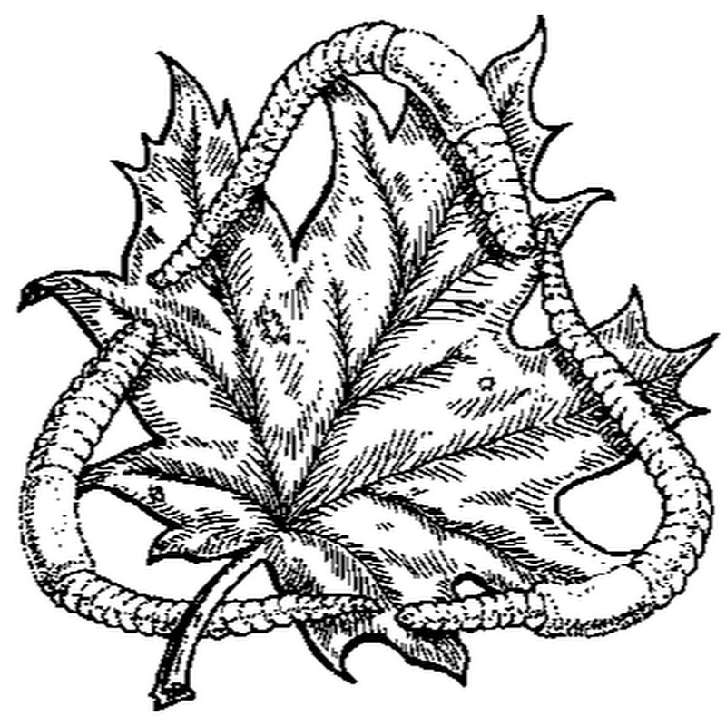 Worm Food icon