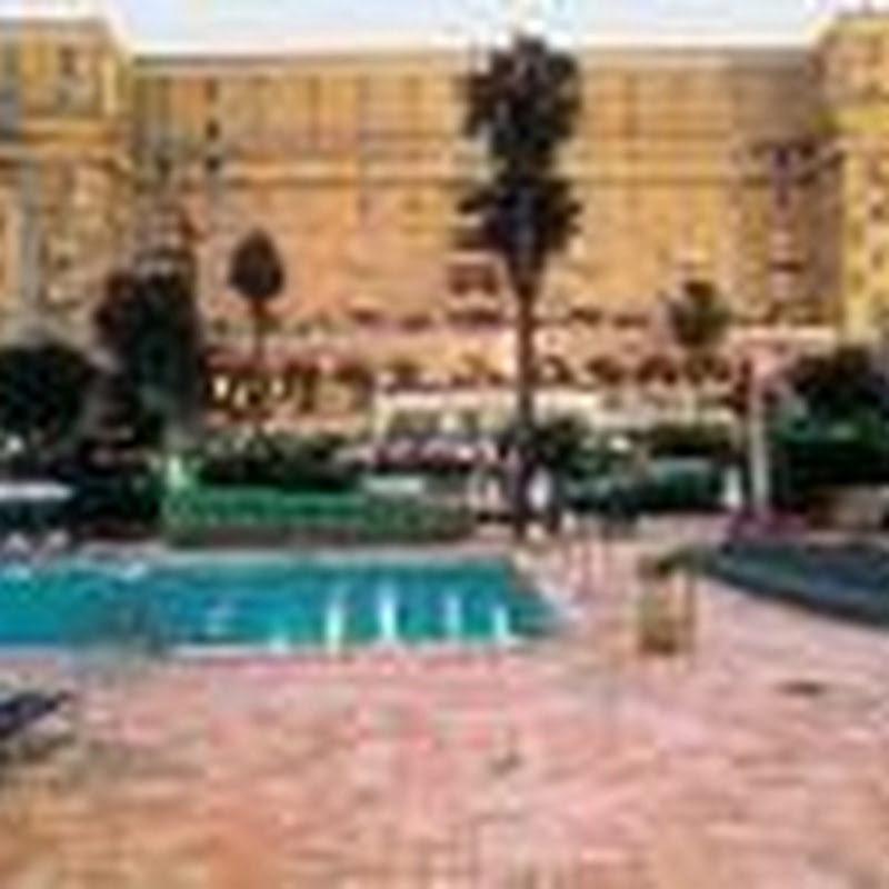 kingdavidhotel