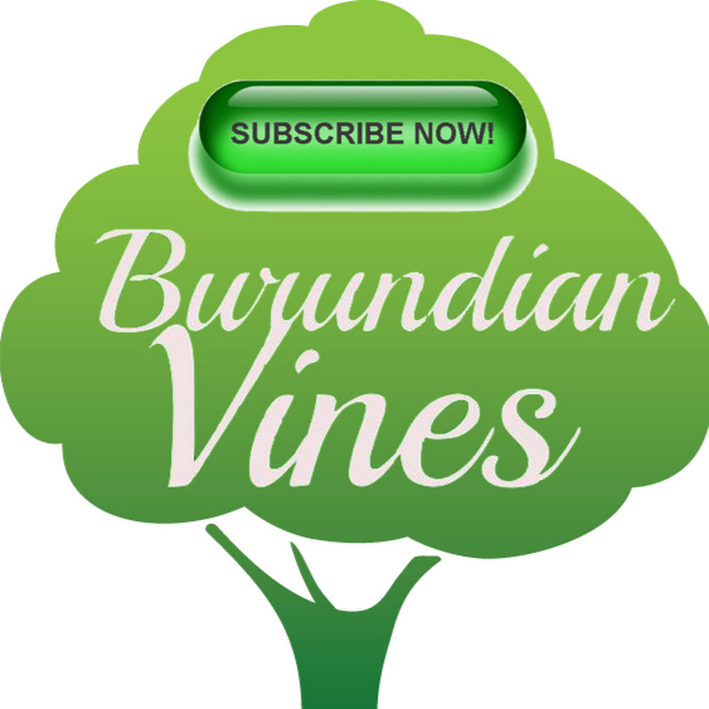 Burundian Vines icon