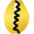 ynhGX1my3rA-channel-avatar-Ase Ire