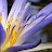 @luoyisishimisi470's avatar
