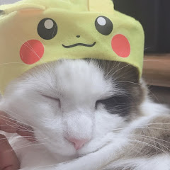 ねこいろ