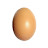 @Egg-ld8gl