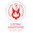 ENgiyIBuFYM-channel-avatar-Ústav anatomie 2. LF UK