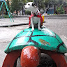 Автор