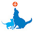 92E3wtsl4uI-channel-avatar-Fitzpatrick Referrals