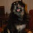 @AndyHullMcPenguin's avatar