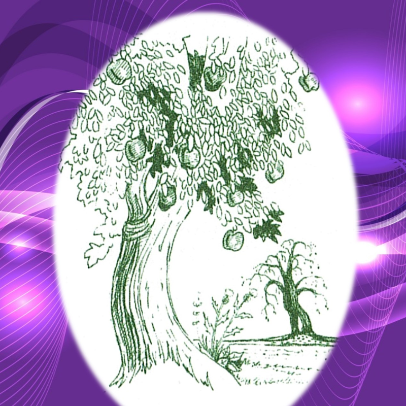 Tree of Life Ministries Charleston, SC