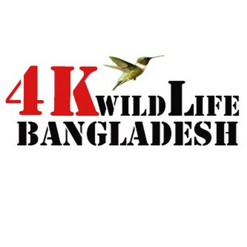 4K Wildlife Bangladesh