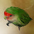 youtube avatar