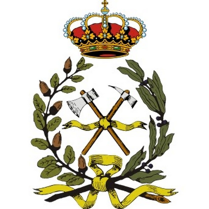 Colegio Oficial de Ingenieros de Montes icon