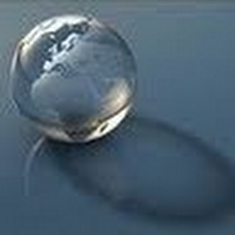 The Global Ivy Society