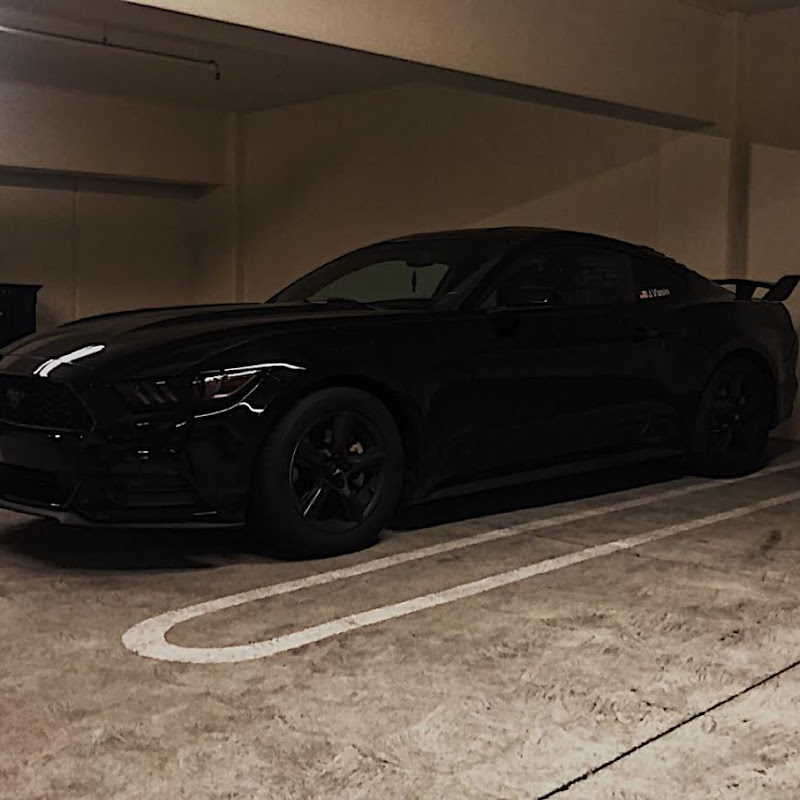Midnight Marauder