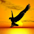 Gx1Qq1gH7yE-channel-avatar-Sky Spector
