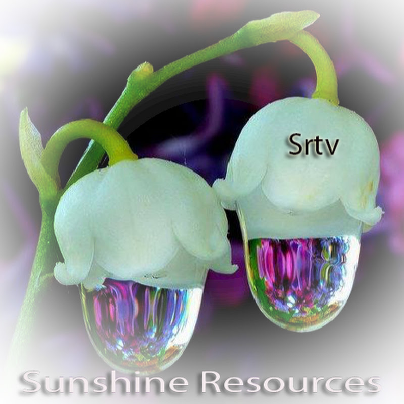 Sunshine Resources Srtv