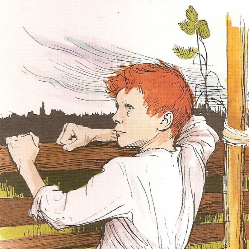 Red Badhair icon