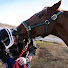kwS5ucnUzls-channel-avatar-Craig