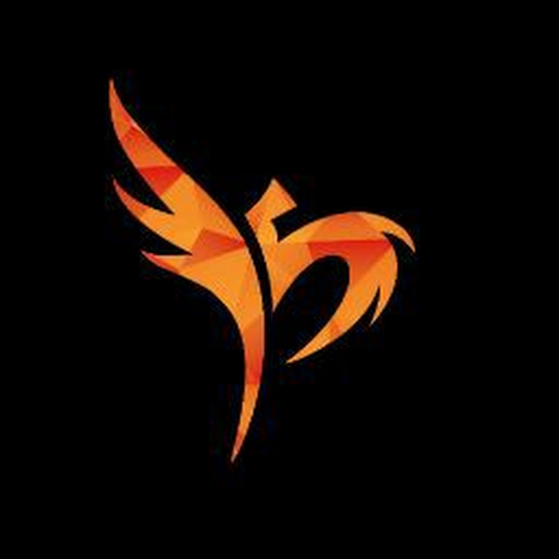 PhoenixMinds Pvt Ltd