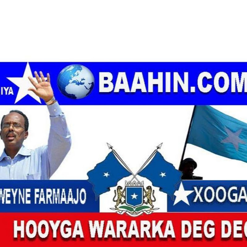 Baahin TV