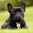 @Renato.P's avatar