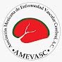 AMEVASC logo