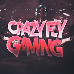 crazyflygaming