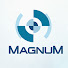 q8EKCRNKEVA-channel-avatar-Magnum Productions