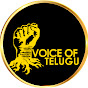 Voice Of Telugu 2.O logo