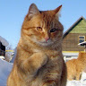 Автор
