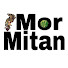 MSqGMLHgVzw-channel-avatar-Mor Mitan