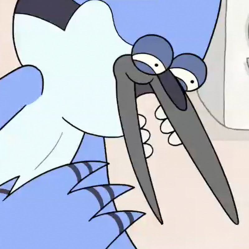 Mordecai626