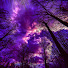 lY1TraSMGsw-channel-avatar-ARK
