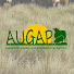 12-_3ZAvpyQ-channel-avatar-Asociación Uruguaya de Ganaderos del Pastizal
