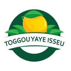 Toogou yaye Isseu net worth