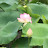 @user-hl3qv6kb9h
