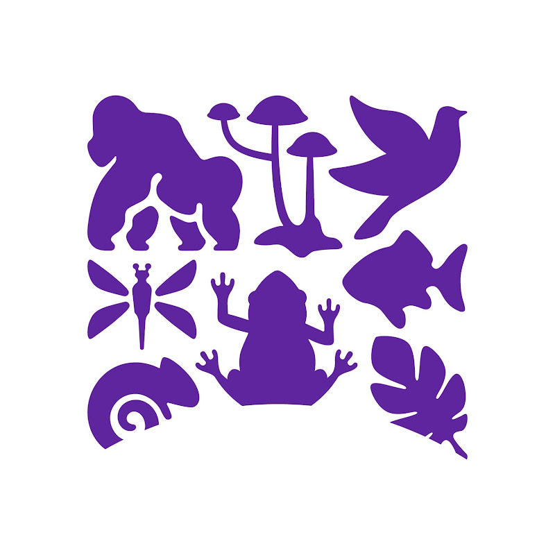 Species Conservation Fund