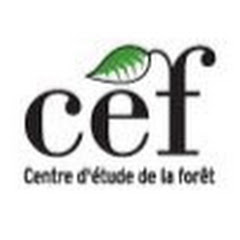 CEF-TV