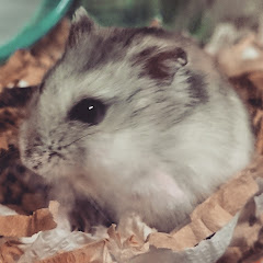きよし