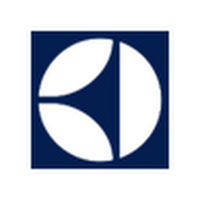 electroluxbr Net Worth & Earnings (2026)