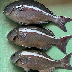 北九州釣り隊チャンネルアイコン画像