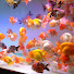vXg5nJhSRts-channel-avatar-criadero de betta y goldfish Javier RD